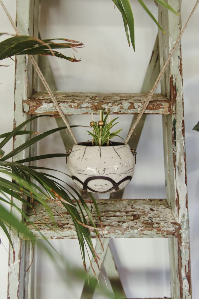 Plant decor hanging on rustic plant ladder