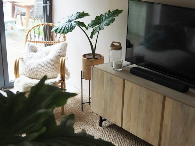 plant decor stand in corner of bedroom near tv stand