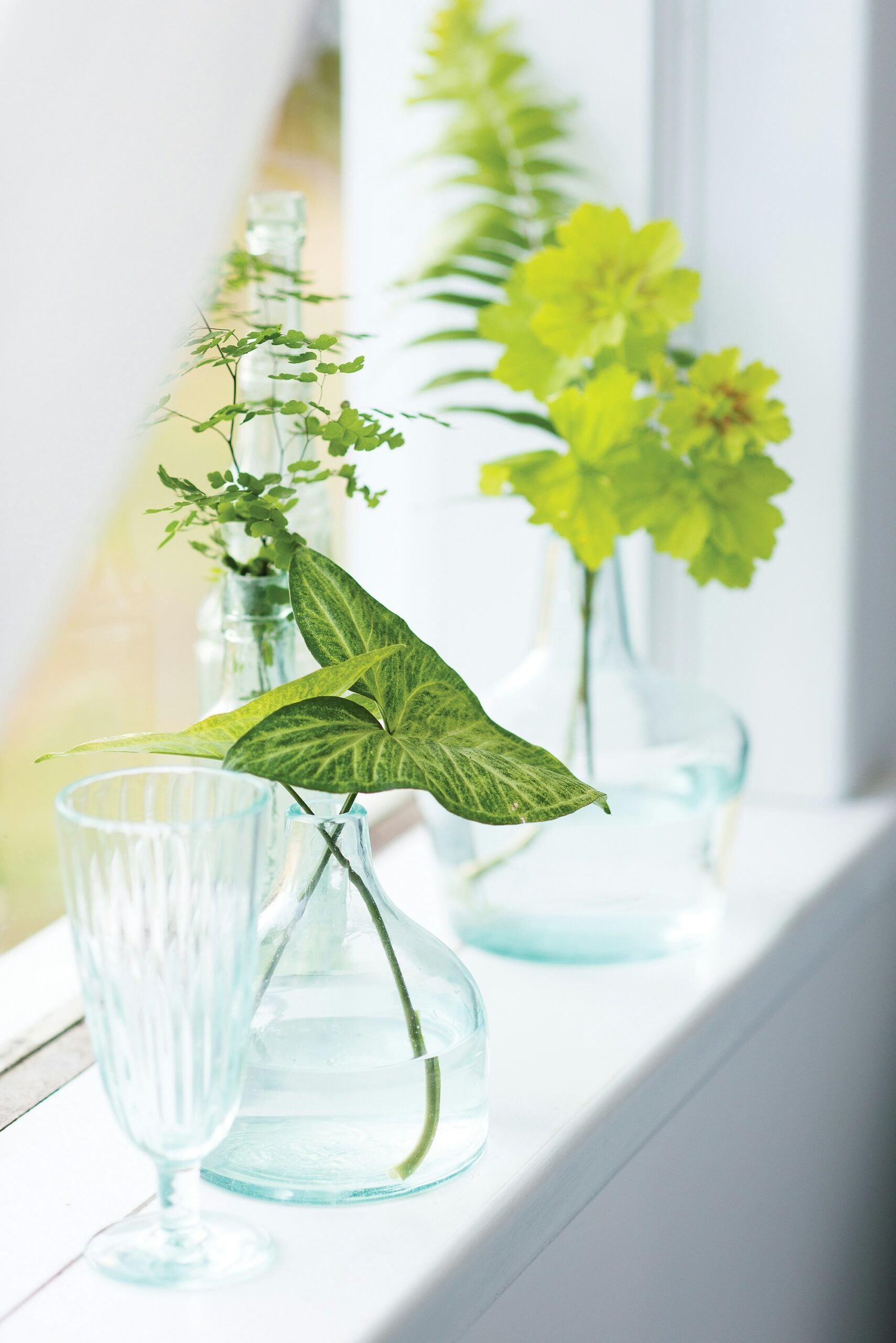 Small green plant decor on window sill