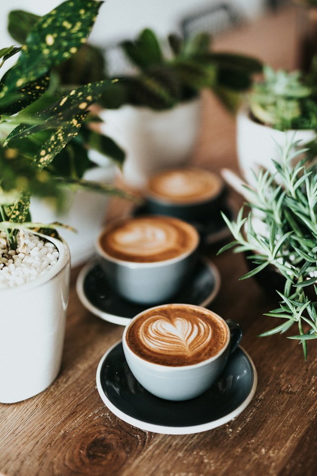 Coffee bar decor ideas with latte art and plants