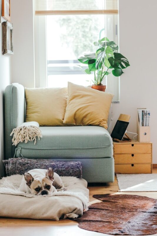 cozy reading area with large blue chair and puppy laying on the floor