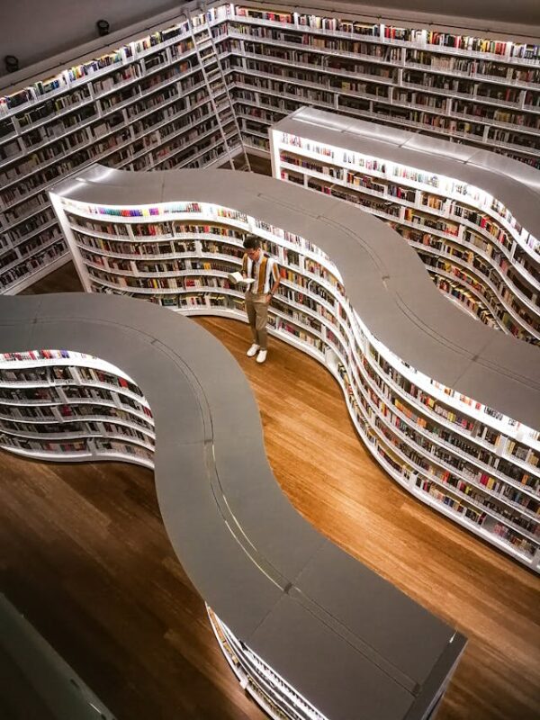 zig zag bookshelf dividing a large room