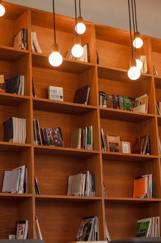 large wooden bookcase with various books displayed