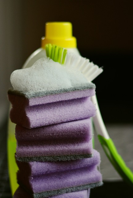 cleaning supplies to clean your messy house (purple sponge and green scrubber)