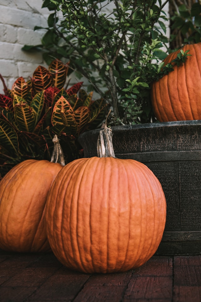 fall front porch pumpkins and plants