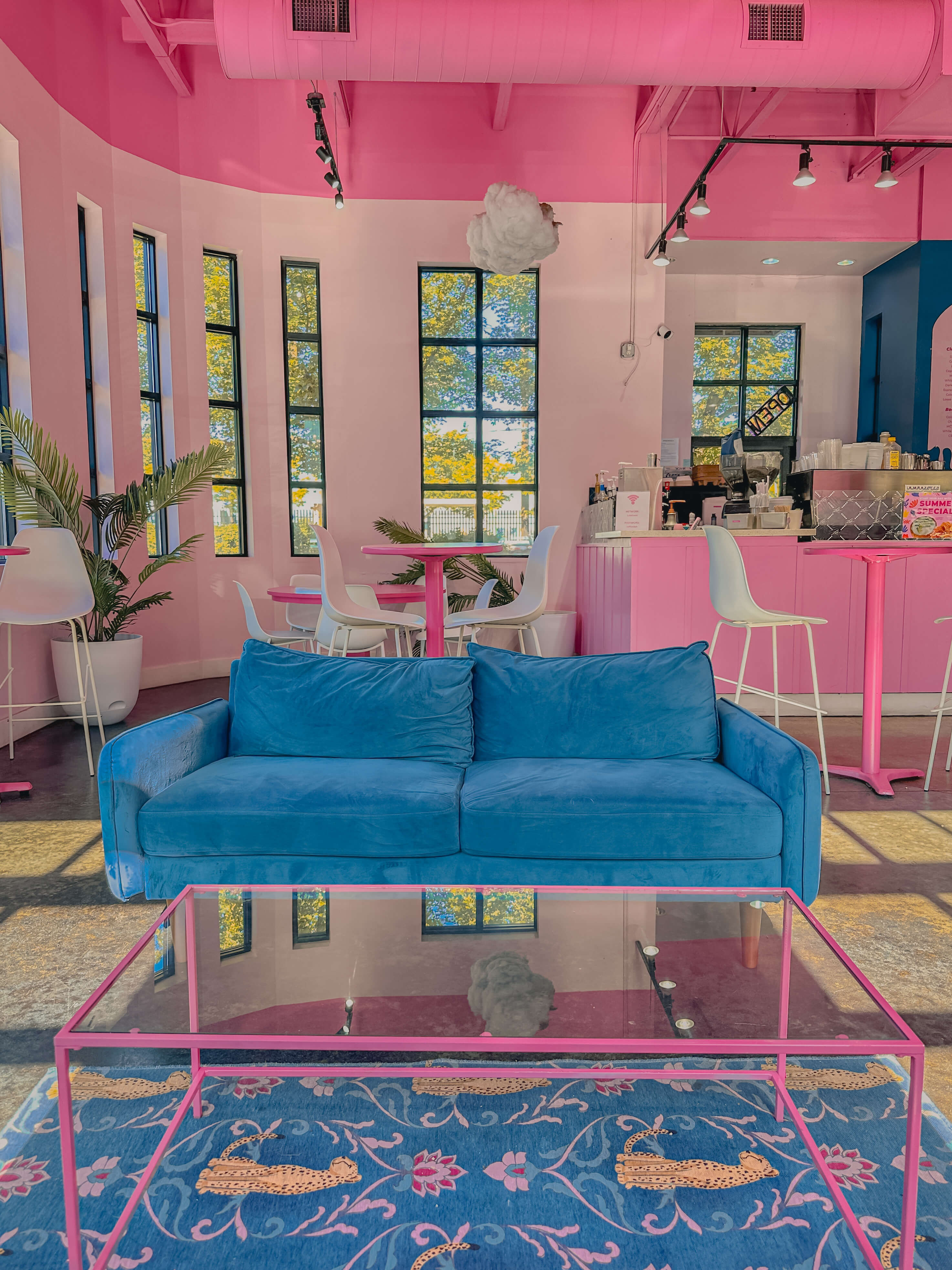 bright blue sofa in pink sitting room with white chairs 