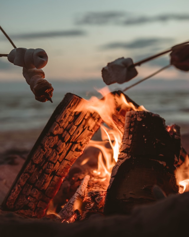 marshmallows being roasted over hot logs and fire 