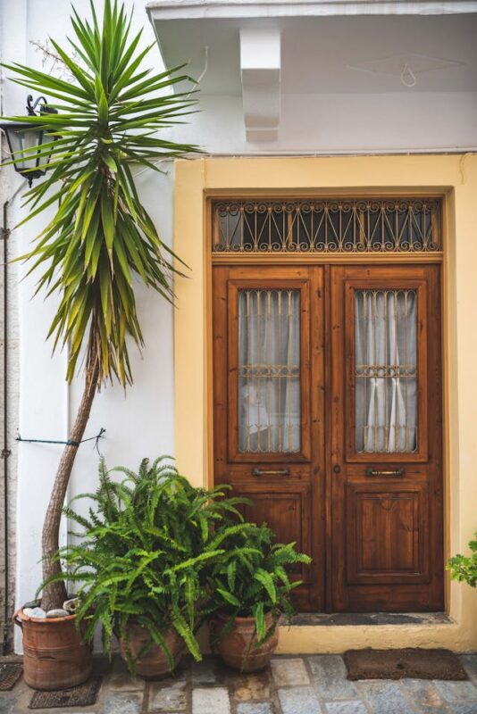 wooden double doors with green palm tree and ferns