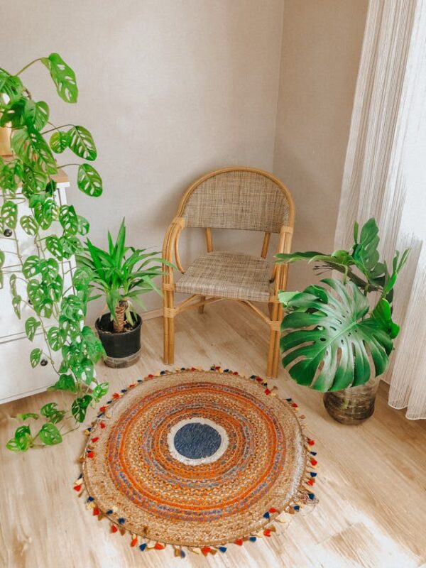 plant decor textile with wicker chair and circle rug