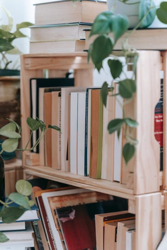 full book shelf with green plants on top