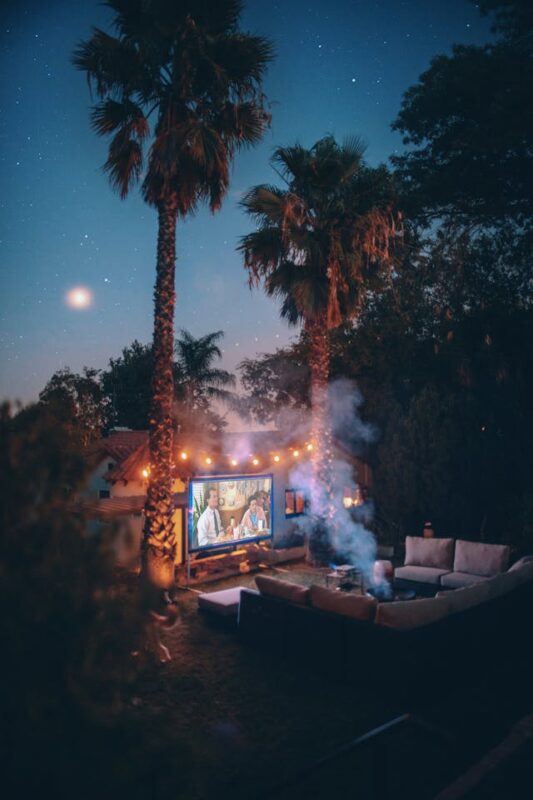 Labor Day party idea of backyard home movie theater under palm trees