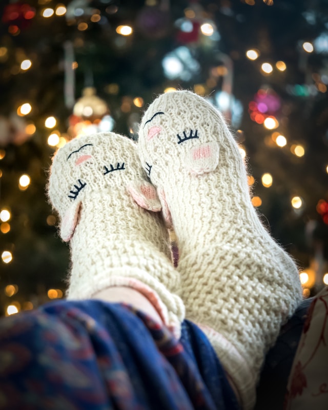 white cozy animal socks