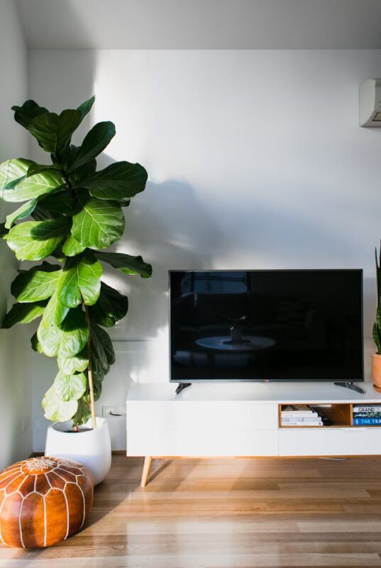 tv on white console cabinet next to large potted plant 